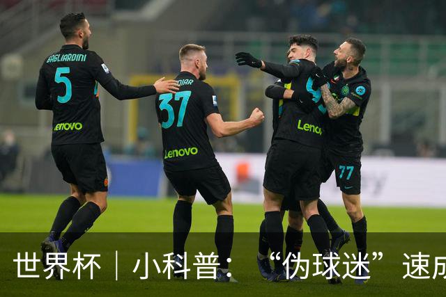 世界杯｜小科普：“伪球迷”速成手册