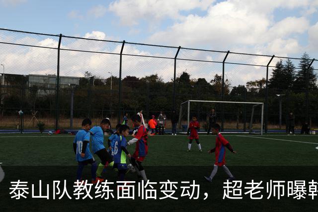 泰山队教练面临变动，超老师曝韩鹏或将退役，李源一赛季恐报销