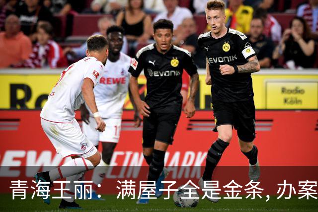 青海王丽：满屋子全是金条, 办案人员数到手抖, 丈夫受不了提前离场